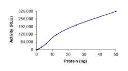 Sino Biological&nbsp;Recombinant Human EGFR Protein (d746-750 T790M L792H, GST Tag), Active